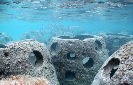 انجام اقدامات اولیه نصب زیستگاه‌های مصنوعی در آب‌های سیریک